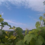 Gundelsheim